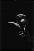 33776 Doucha 08-03-2013 (Zz) (p)